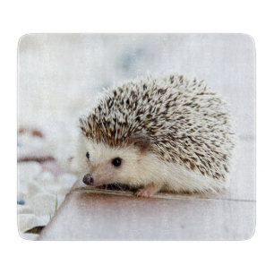Cute Baby Hedgehog Cutting Board