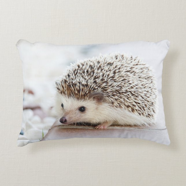 Cute Baby Hedgehog Decorative Cushion (Front)