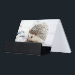 Cute Baby Hedgehog Desk Business Card Holder<br><div class="desc">Cute baby hedgehog portrait photograph on pale background.</div>