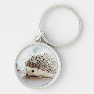 Cute Baby Hedgehog Key Ring