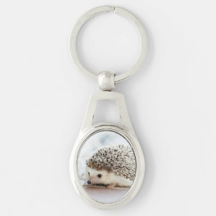 Cute Baby Hedgehog Key Ring