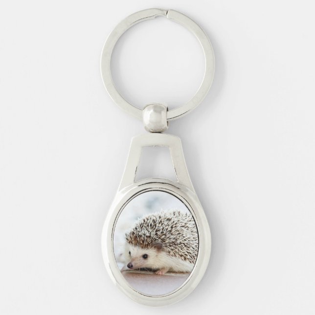 Cute Baby Hedgehog Key Ring (Front)