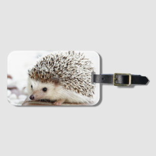 Cute Baby Hedgehog Luggage Tag