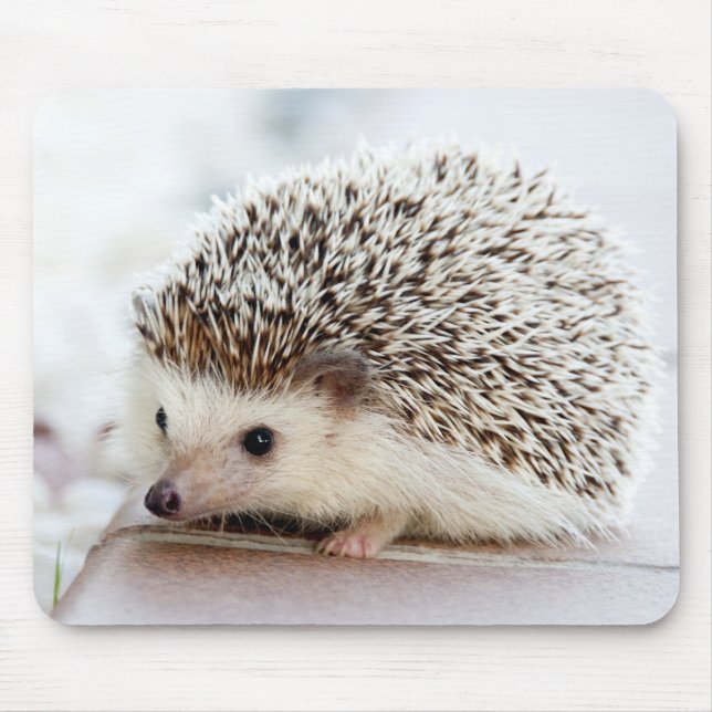 Cute Baby Hedgehog Mouse Mat (Front)