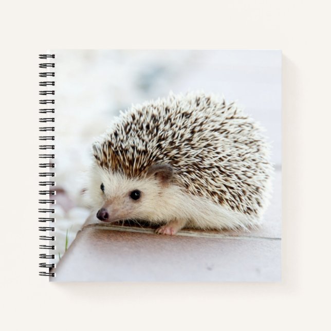 Cute Baby Hedgehog Notebook (Front)