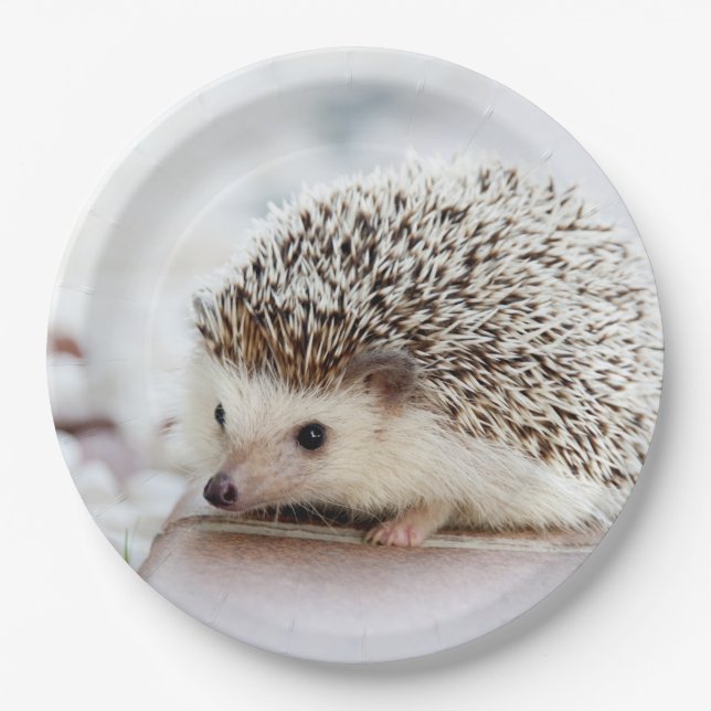 Cute Baby Hedgehog Paper Plate (Front)