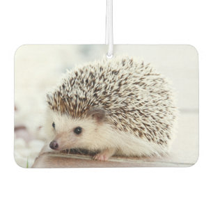 Cute Baby Hedgehog Photo Car Air Freshener