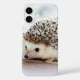 Cute Baby Hedgehog Photo iPhone 16 Case