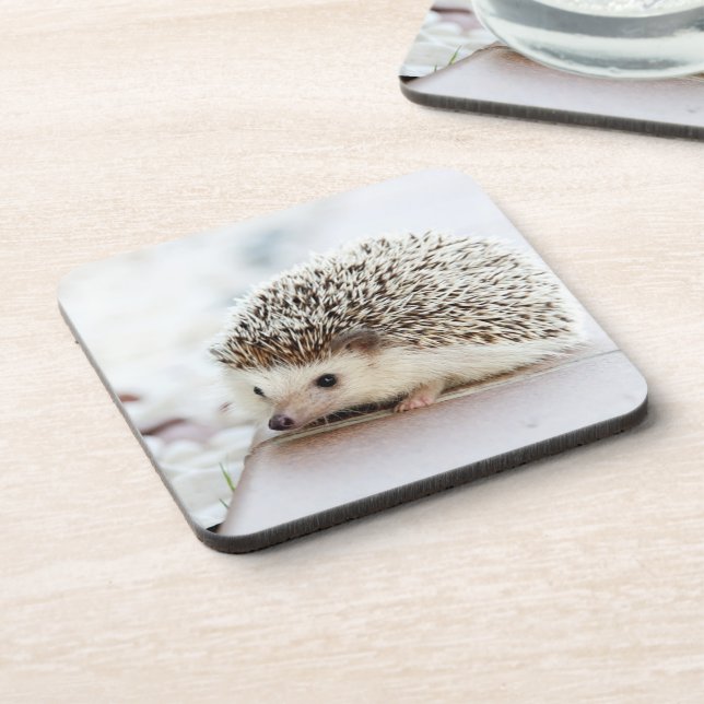 Cute Baby Hedgehog Photo Coaster (Left Side)