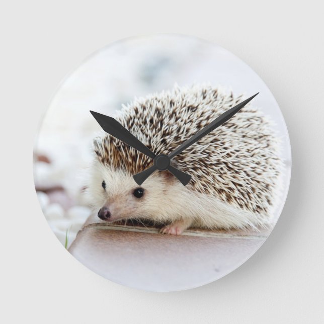 Cute Baby Hedgehog Round Clock (Front)