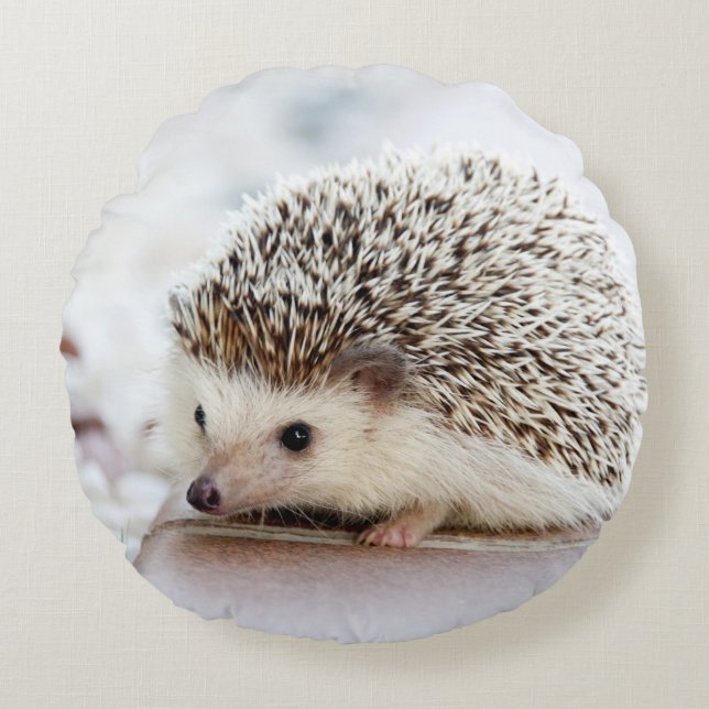 Cute Baby Hedgehog Round Cushion (Front)