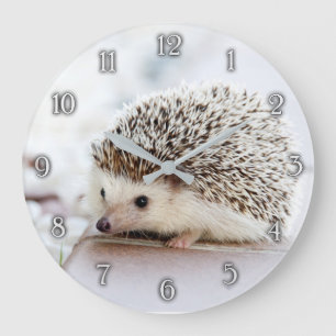 Cute baby hedgehog wall clock
