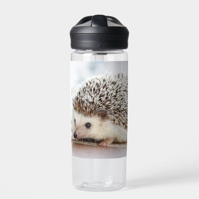Cute Baby Hedgehog Water Bottle (Front)