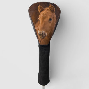 Cute Baby Horse Golf Head Cover