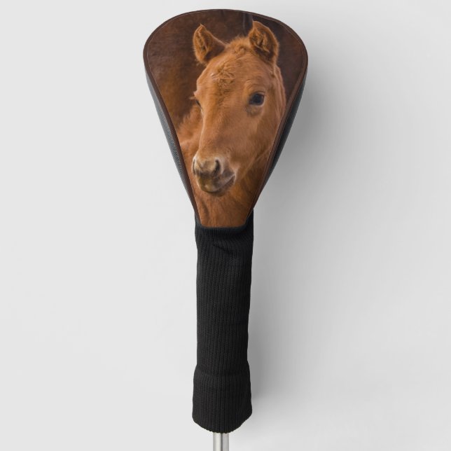 Cute Baby Horse Golf Head Cover (Front)