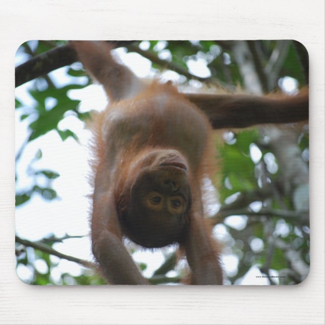 Cute Baby: Jungle Wild Animals Mouse Mat (Front)