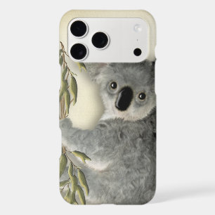 Cute Baby Koala
