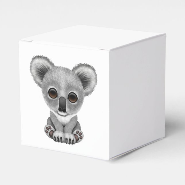 Cute Baby Koala Bear Cub Favour Box (Front Side)