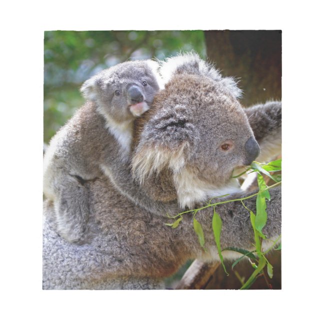 Cute baby koala bear with mum in a tree notepad (Front)