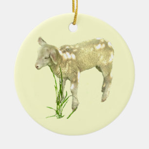 Cute Baby Lamb Eating Grass on Yellow Ornament