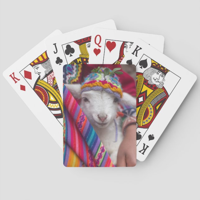 Cute Baby Lamb Sheep Animal Playing Cards (Back)