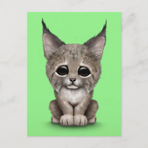 Cute Baby Lynx Cub on Green Postcard