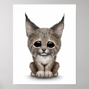 Cute Baby Lynx Cub on White Poster