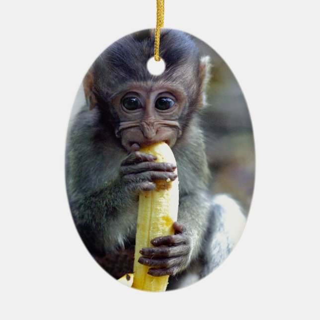 Cute baby macaque monkey eating banana ceramic tree decoration (Front)