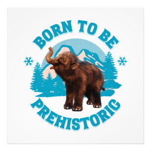 Cute Baby Mammoth Prehistoric Kids Birthday Photo Print