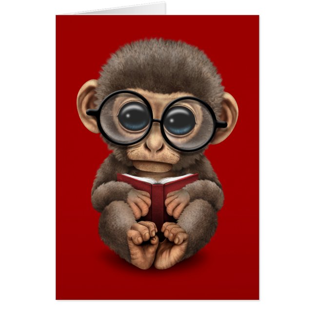 Cute Baby Monkey Reading a Book on Red (Front)