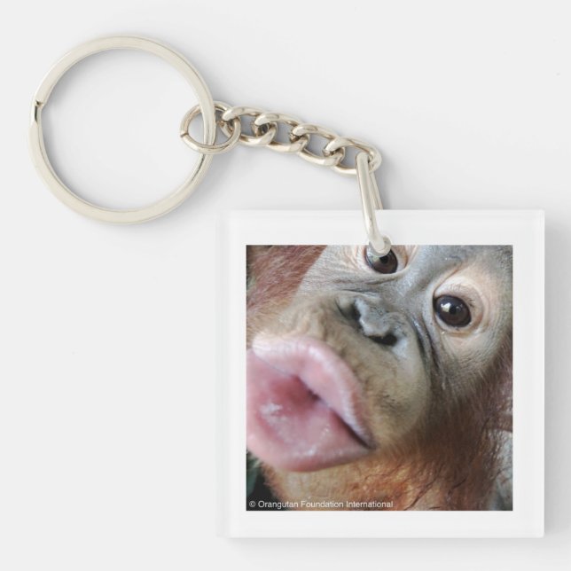 Cute Baby Orangutan Kiss Key Ring (Front)