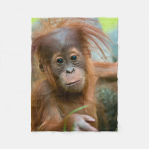 Cute Baby Orangutan looking straight ahead Fleece Blanket
