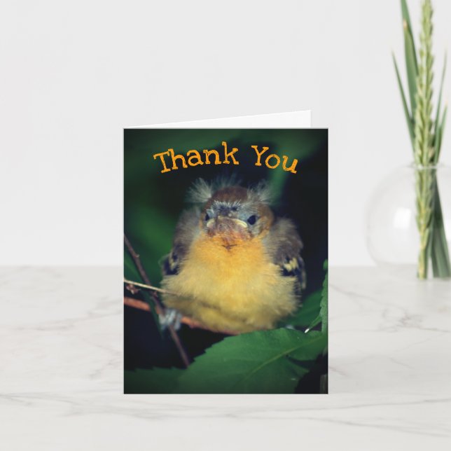 Cute Baby Oriole Bird Nature Thank You Card (Front)
