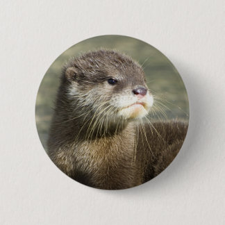 Cute Baby Otter 6 Cm Round Badge