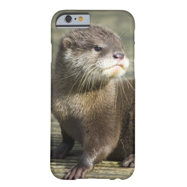 Cute Baby Otter Case-Mate iPhone Case (Back)