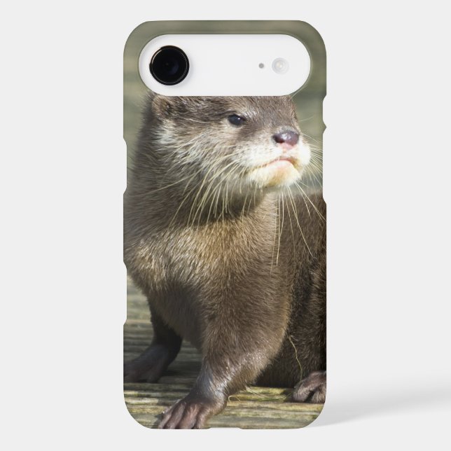 Cute Baby Otter Case-Mate iPhone Case (Back)