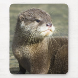 Cute Baby Otter Mouse Mat