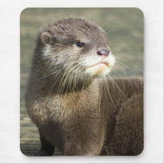 Cute Baby Otter Mouse Mat