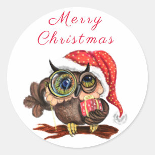 Cute Baby Owl In Christmas Hat and Gift For You Classic Round Sticker