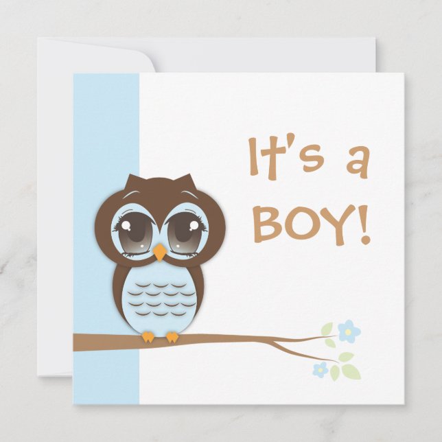 Cute Baby Owl It's a Boy Baby Shower Invitation (Front)