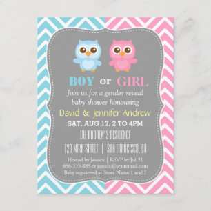 Cute Baby Owl Theme Chevron Gender Reveal Party Invitation