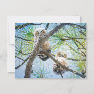 Cute Baby Owls Wildlife Photography Modern Card