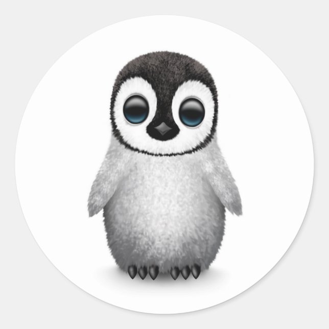 Cute Baby Penguin on White Classic Round Sticker (Front)