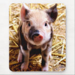 Cute Baby Pig Mouse Mat<br><div class="desc">Photography of an adorable pink and black piglet with a straw background.</div>