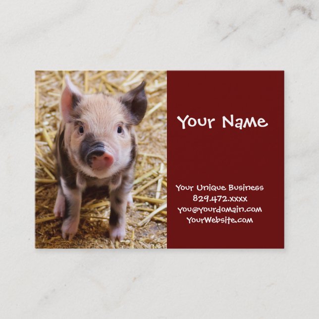 Cute Baby Piglet Farm Animals Barnyard Babies Business Card (Front)
