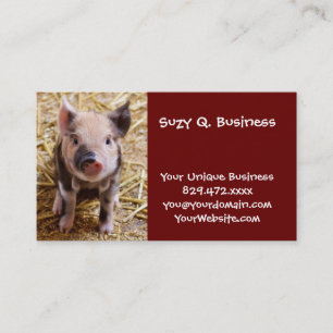 Cute Baby Piglet Farm Animals Barnyard Babies Business Card