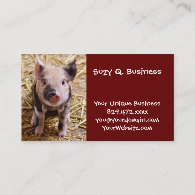 Cute Baby Piglet Farm Animals Barnyard Babies Business Card (Front)