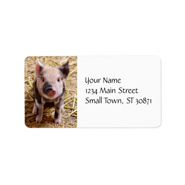 Cute Baby Piglet Farm Animals Barnyard Babies Label (Front)