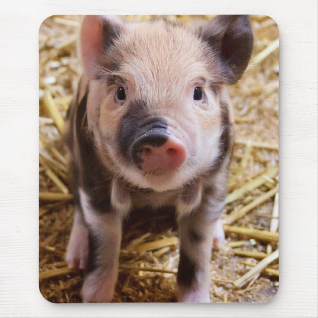 Cute Baby Piglet Farm Animals Barnyard Babies Mouse Mat (Front)
