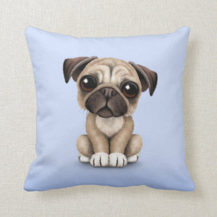 Cute Baby Pug Puppy Dog on Light Blue Cushion